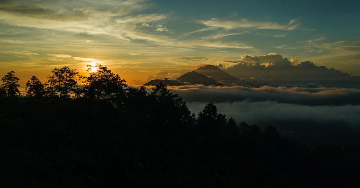 Техническая характеристика слот-игры Wild West Gold Megaways