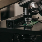 Структурный анализ игровых механик слота Gates of Olympus