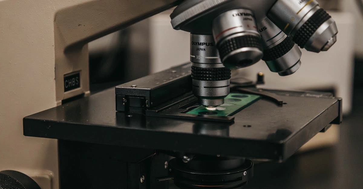 Структурный анализ игровых механик слота Gates of Olympus